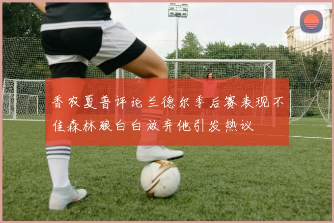 香农夏普评论兰德尔季后赛表现不佳森林狼白白放弃他引发热议